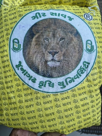 બીયારણ માં વેશવાની છે. ગીર સાવજ