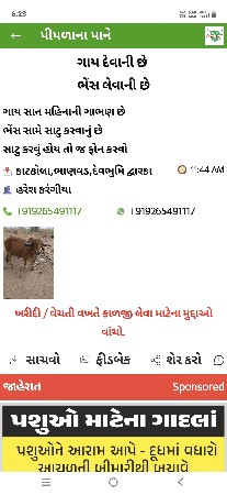 ગાય વેચવાની છે