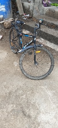 Cycle