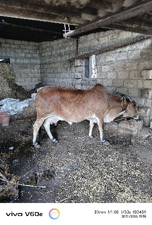 વેચવાની