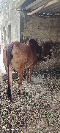 ફોન નબર 9979289215