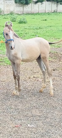6 મહિના નો