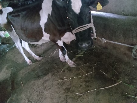 વેચવાની છે