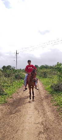 ઘોડી વેચવા ની છે
બારભમરી ની ચોખી