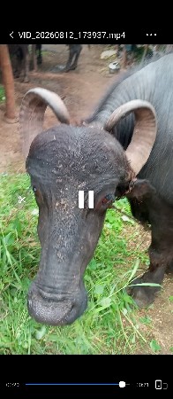 7016149604