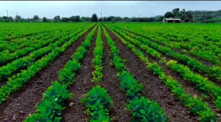 જમીન વેચવાની છે
