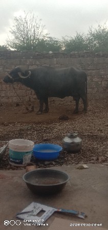 જન્મથી તન આચરછે