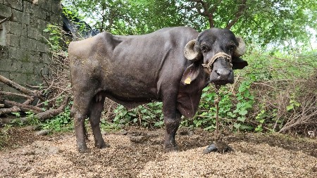 9 mo મહિનો chalu ૨૫ દિવસ થયા