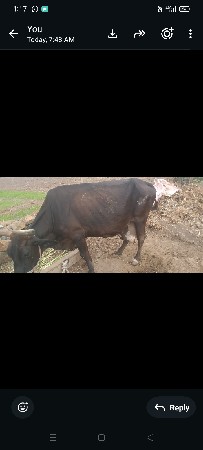 વેચવાની છે