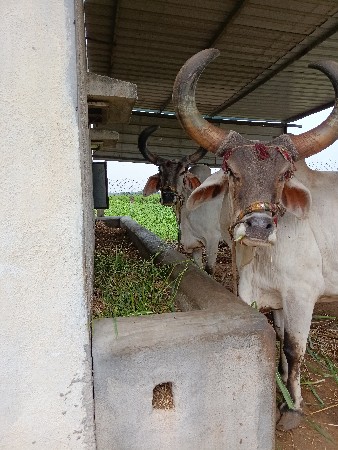 5 ધર‌ ના