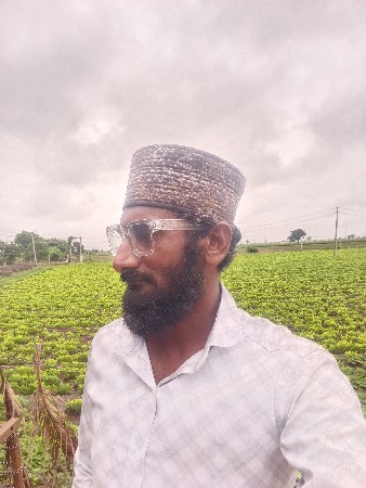 અલી ભાઈ સંધિ