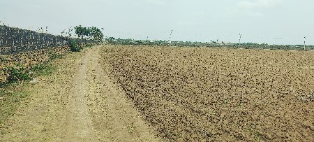 રાણાવાવ.જમીન વેચવાની છે