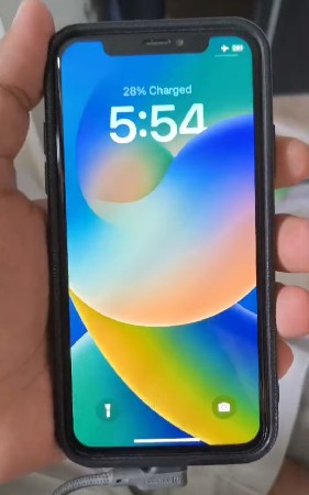 iPhone x (256)