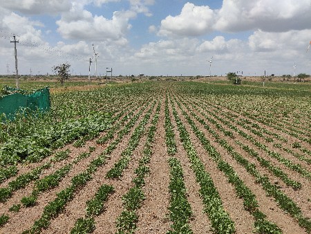 વેચવાની છે