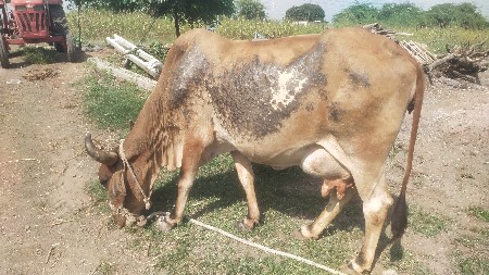 ખોટા કોઈએ ફોન કરવા નહીં