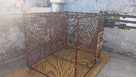 pijru