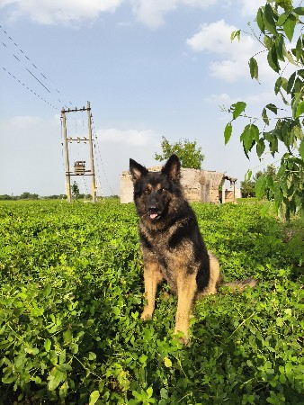 મીટીંગ માટે છે વેચવાનો નથી