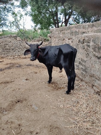 આ