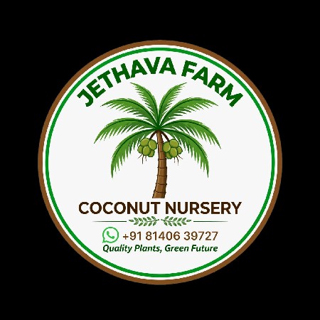 green coconut plant nursery