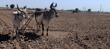 વેચવાના છે