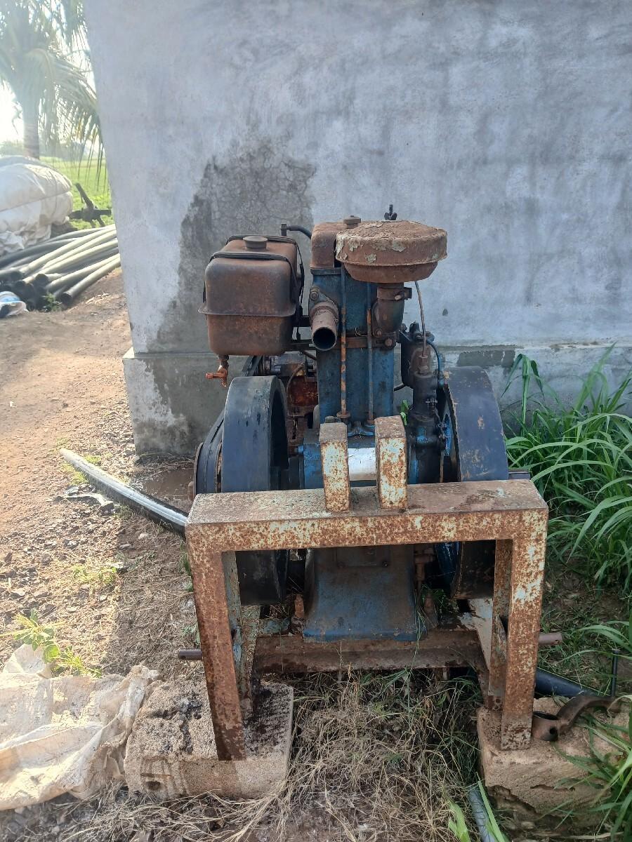 masin pankho