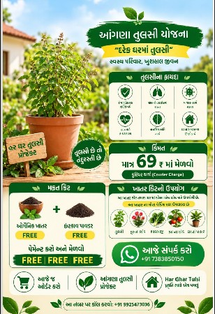 ડોર ટુ ડોર એક્ટિવિટી