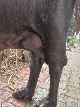 भेस वेतर4
फोन9824630094