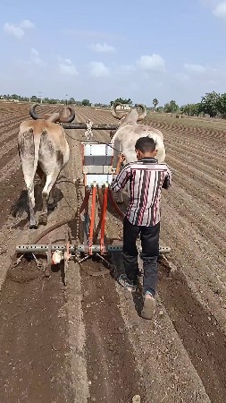 ગોઢલા