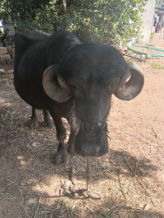દોઢ મહિનાની વાર છે