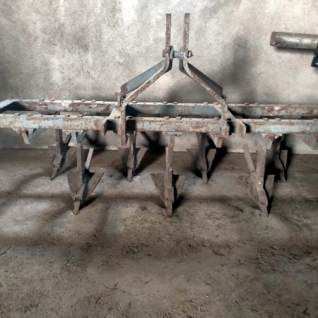 દાંતી વૅસવા ની છે