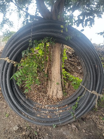 ૨ નો લશો  ૧૨ ગેજી ૩૫૦ ફૂટ
