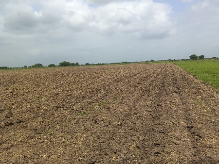 ટ્રેકટરના કામ રાખીએ છીએ