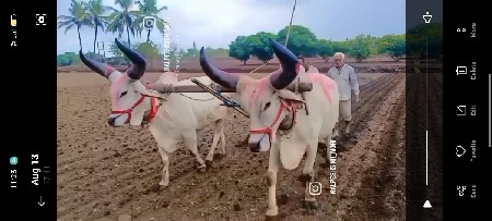 ghodhla veshvanase