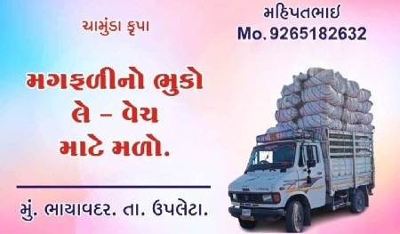 મગફળી નો પાલો - ભૂકો ( ડુર)