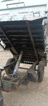 ટોલી વેચવાનીસે