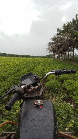 Suzuki. Tvs  
સુઝુકી વેચવા ની