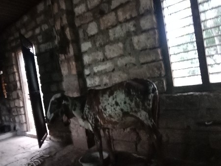 કબરી આપવાની છે