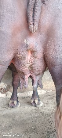 90161 62503 આમ ફોન કરવો