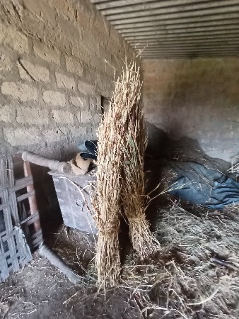 ચાર ના પુરા વેચવાના જે.