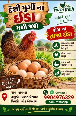 દેશી મરઘી મરઘા તથા તાજા ઈંડા