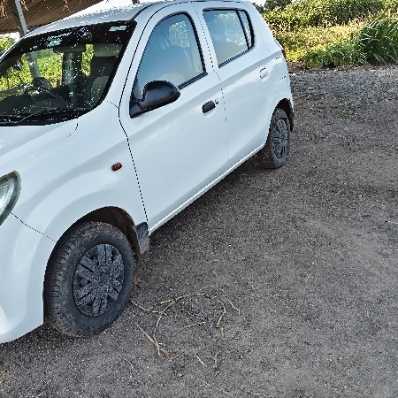 alto 800