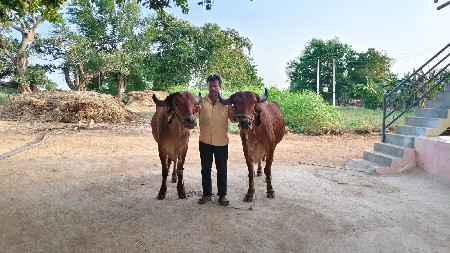 ગોઢલા વેશવાના છે
