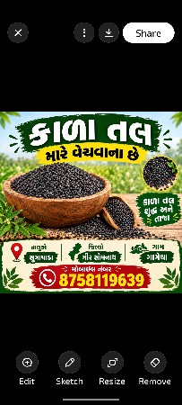 કાળા તલ વેચવાના છે