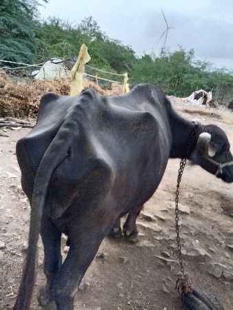 9 મહિના પુરા