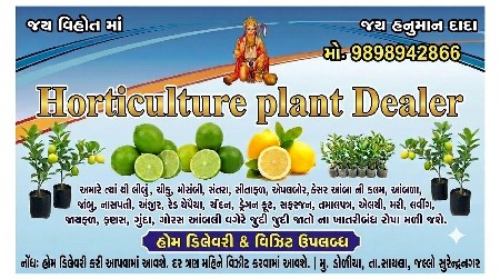 કલમી લીંબુ
