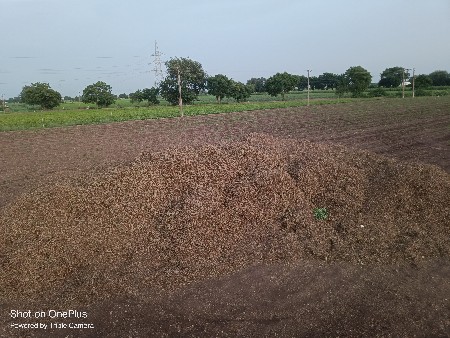 મગફળી નો પાલો વેચવાનો છે