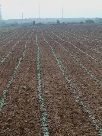 જમીન વેચવાની છે