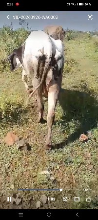 9870046396