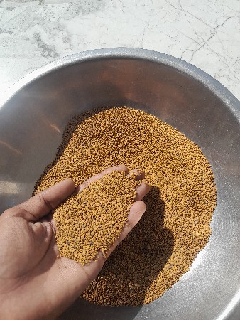 રજકો ( ગદપ )  નુ બીયારણ વેચવાનુ છે