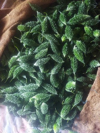 karela